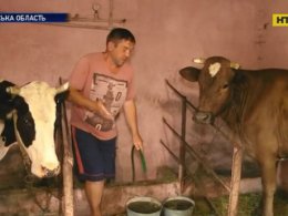 На Сумщині селянин із мотокосою напав на корову