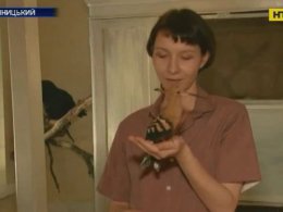 Приют для животных обустроила у себя на кухне жительница Кропивницкого