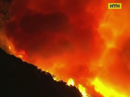 8 тисяч людей примусово евакуювали через масштабні лісові пожежі у Каліфорнії