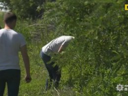На Харківщині правоохоронці розкрили вбивство пенсіонера, тіло якого знайшли у полі серед соняхів