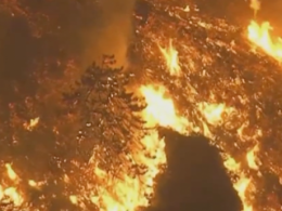 Более 200 человек срочно эвакуировали из-за лесных пожаров в Калифорнии