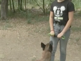 В Херсоне школьница тренирует собак-чемпионов