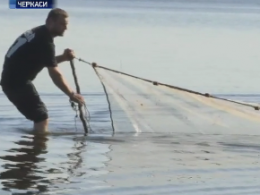 В водах Днепра начали считать рыбу