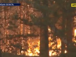 11 людей загинули у масштабних пожежах на Луганщині