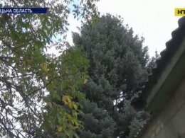 В Донецкой области женским голосом заговорила верхушка елки
