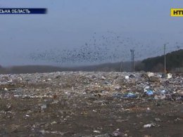 Ядовитый воздух: одна из крупнейших свалок Киевщины давно переполнена