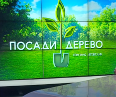 Телеканалы "Интер" и НТН призывают украинцев озеленять страну и присоединиться к движению "Посади дерево"