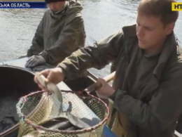 В Черкасской области в воды Днепра выпустять 60 тонн рыбы