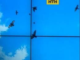 Страшная авиакатастрофа могла произойти в небе над Казахстаном из-за утки