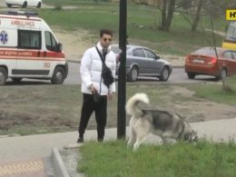 Во Львове водитель такси сломал нос пассажиру, потому что тот хотел сесть в машину вместе с собакой