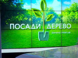 Телеканали "Інтер" і НТН закликають українців озеленювати міста