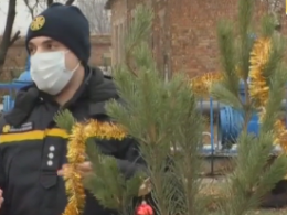 Черкасские пожарные рассказали, как действовать, если загорелось новогоднее дерево