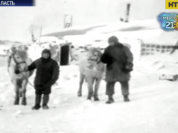 Історія першого українського полярника Антона Омельченка, який підкорив Антарктиду