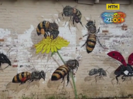 5500 пчел на домах нарисовал американский художник Мэтью Вилли