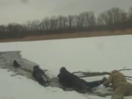 В Рубежном Луганской местные вместе с патрульными и чрезвычайников смогли спасти мужчину, который во время прогулки провалился под лед