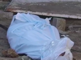 На Херсонщине на четвертые сутки поисков нашли мертвой 7-летнюю Марию Борисову