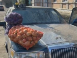 Креативная продажа овощей устроила семья в Черновцах
