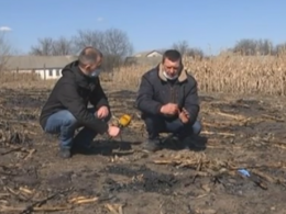 На Полтавщині на присадибній ділянці сусіди знайшли обвуглене тіло чоловіка