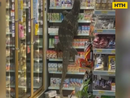 В Таиланде в супермаркет ворвался гигантский варан