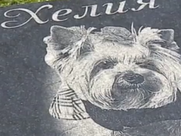 В столице во время реконструкции парка коммунальщикам пришлось ликвидировать кладбище домашних животных