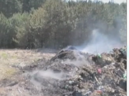 Крупный пожар на Волыни: выгорело 5 гектаров леса рядом с жилыми домами