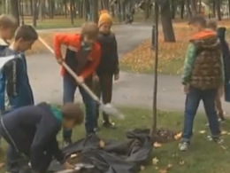 В мире только за апрель высадили более 10 миллионов деревьев и почти половина из них в Украине