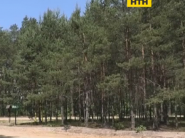 Волынские леса теперь под видеонаблюдением