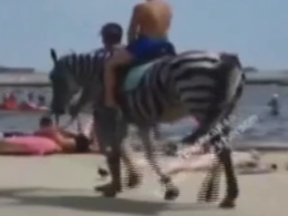 Крашеный конь и крокодил с заклеенной скотчем пастью - так развлекают туристов на пляжах в Скадовске