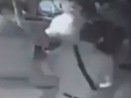 Двох людей розстріляли просто в ресторані в Запоріжжі