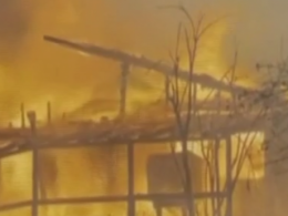 Первые жертвы масштабных лесных пожаров в Греции