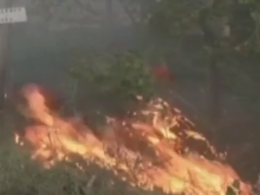 Греция страдает  от пожаров