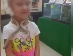 В российском контактном зоопарке змея укусила 5-летнюю девочку за лицо