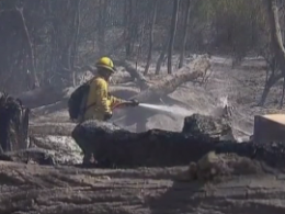 Десятки будинків вигоріли дотла під час лісових пожеж у Чилі
