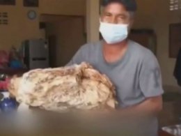 Тайський рибалка знайшов блювоту кашалота вартістю понад один мільйон доларів