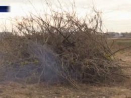 Как решают проблему накопления опавших листьев в Черкасской области