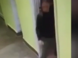 У львівській школі чоловік намагався зґвалтувати 7-річну дівчинку
