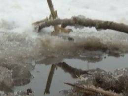 Трагедия на воде произошла в Херсонской области